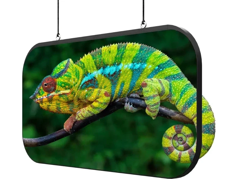 Planar Chameleon Series double-sided LED display
